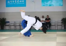 包含柔道夜战：皖江银狐队强势横扫塞北猎隼队，速度优势明显主场山呼海啸的词条