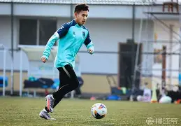 开云平台-江南雪豹队鏖战云贵暴熊队,拳击大师赛火力全开,转换速度占优。客场静默反击的简单介绍